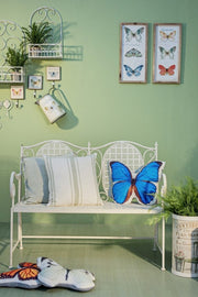 4x P. Fiore Parete Emily Rett L