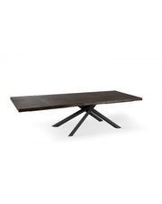 Mesa extensible 200-300 x 100 cm - Spike