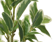 Planta plastico con maceta 25x25x35h cm