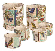 2x Set6 P.Oggetti Botánico a Blu