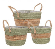 4x Set3 Camino 2M Alyce A Verde-Naturale