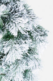 Corona Cermis Innevato D60 6x