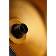 Lámpara colgante Rena ASZ1341 de metal negro con interior dorado