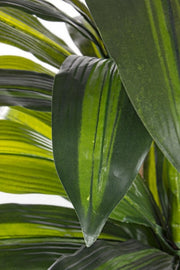 2x Dracena Planta C-Jarrón 43Hojas H88Cm