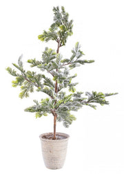 2x Pino Iceberg Innevato C