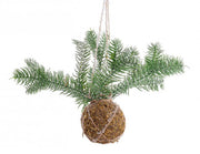 Decoración Esfera Kokedama C 6x