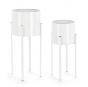 Set2 P.Fiore Ester A Bianco