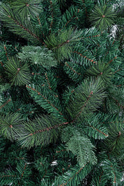 Árbol Silandro con 240x1196 Ramas