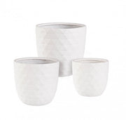 Set3 P.Vaso Pirámide Bomba Bianco