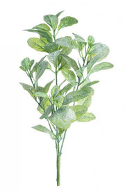 Mazzetto Josy Vischio Ghiacciato de 12x H46cm