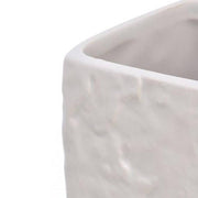 Porta cepillos de dientes de la serie Petra blanca