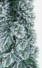 Corona Innsbruck Innevato D45 6x