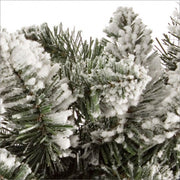 Festón Oregon H180 de 6x