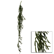 Rama de cactus colgante cm15.2x15.2h114.3