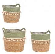 3x Set3 Carretera 2M Bridget A Verde-Naturale