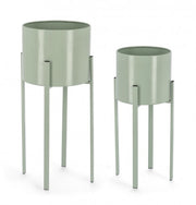 Set2 P.Fiore Ester A Salvia Verde