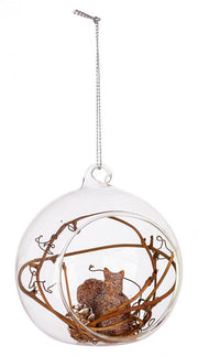 6x Sfera Abierta Vt Grove Scoiattolo D80