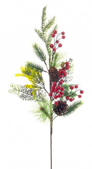 Ramo Marriel Bacche C 12x