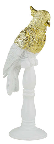 Loro blanco sobre pedestal tn-1915 cm17,5x13h41,5