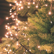 Tradición cadena led 1100 MiniLED 11.5m