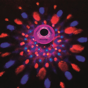 Luces LED multicolores para Lay-Z-Spa