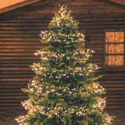 Tradición cadena led 1100 MiniLED 11.5m