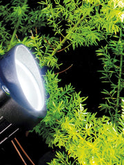 Foco 6W Led 4000K fox line negro