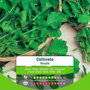 Semillas de rúcula cultivadas en sobre
