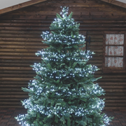 Cadena led blanco frio 1100 MiniLED 11.5m